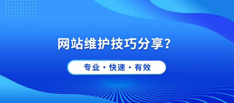 温州网站建设：城市创新的数字翅膀